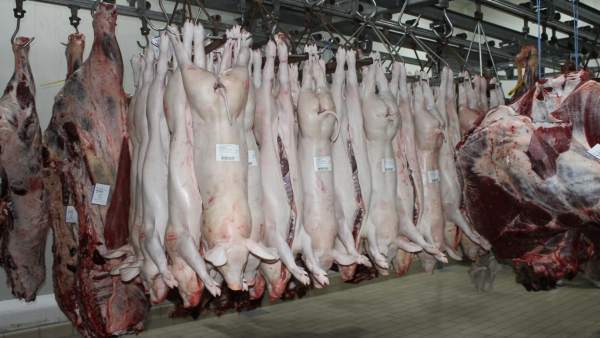 Un matadero de Baleares Un matadero de Baleares