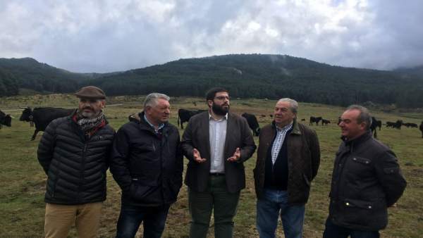 Visita a la ganadería El Colmenar. Visita a la ganadería El Colmenar.