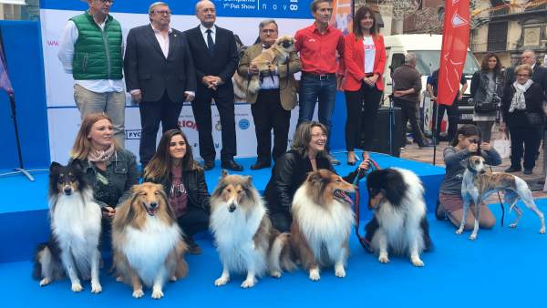 Pasarela perros mascotas fycma málaga Pasarela perros mascotas fycma málaga