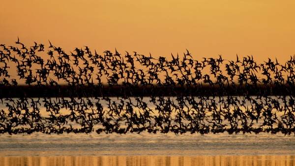 El PEHU impulsa la lucha contra el cambio climático El PEHU impulsa la lucha contra el cambio climático