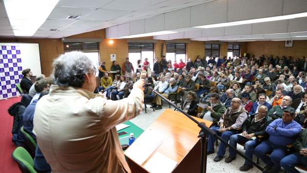 Subasta de vacuno en la feria agroganadera de Trujillo Subasta de vacuno en la feria agroganadera de Trujillo