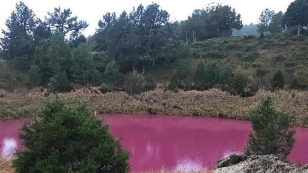 Una de las lagunas de Cañada del Hoyo Una de las lagunas de Cañada del Hoyo
