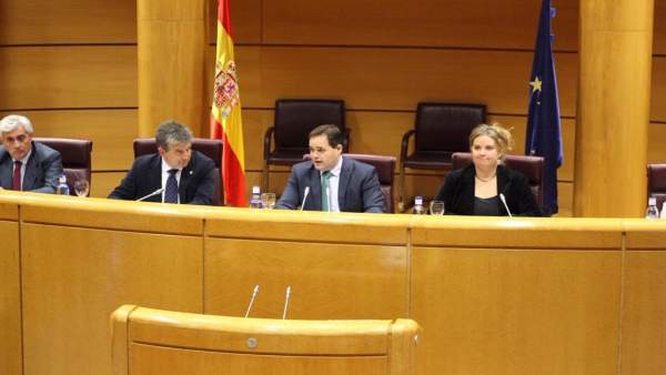 El presidente del PP de C-LM, Paco Núñez, en el Senado El presidente del PP de C-LM, Paco Núñez, en el Senado