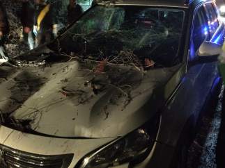 Efecto de la caída de un árbol sobre un coche en Jete (Granada)