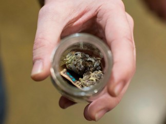 Marihuana