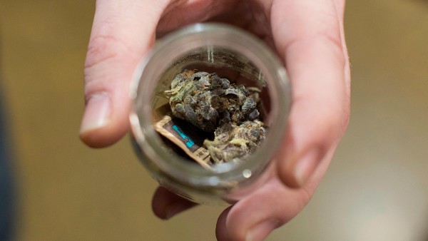 Marihuana Marihuana