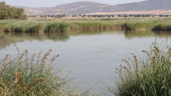 Parque Nacional de Las Tablas de Daimiel Parque Nacional de Las Tablas de Daimiel