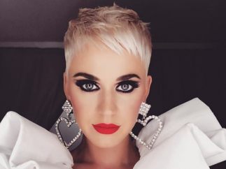 La cantante Katy Perry