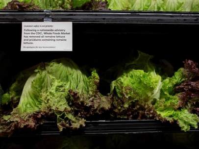 Alerta alimentaria sobre lechuga romana