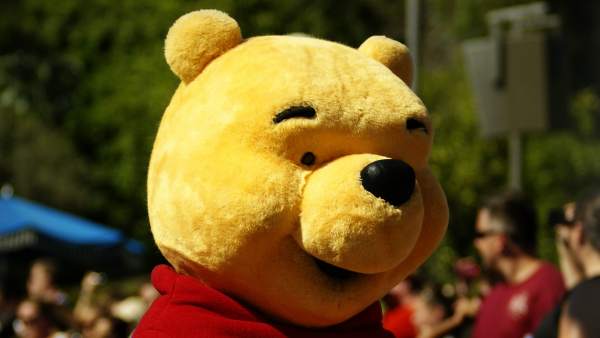 Winnie The Pooh Winnie The Pooh