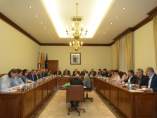 La DPT ha celebrado sesión plenaria