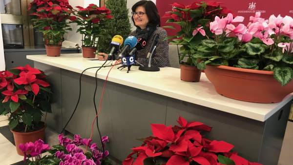 Amparo Pernichi Amparo Pernichi