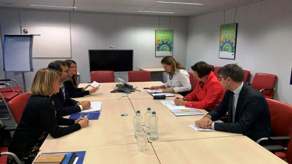 Company en Bruselas Company en Bruselas