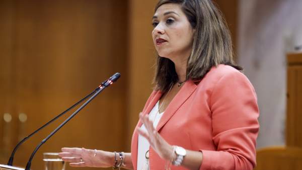 La portavoz de Cs en las Cortes de Aragón, Susana Gaspar La portavoz de Cs en las Cortes de Aragón, Susana Gaspar