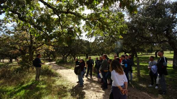 Visita al Parque Sierra Cardeña-Montoro Visita al Parque Sierra Cardeña-Montoro