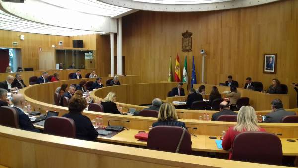 Pleno de la Diputación Pleno de la Diputación