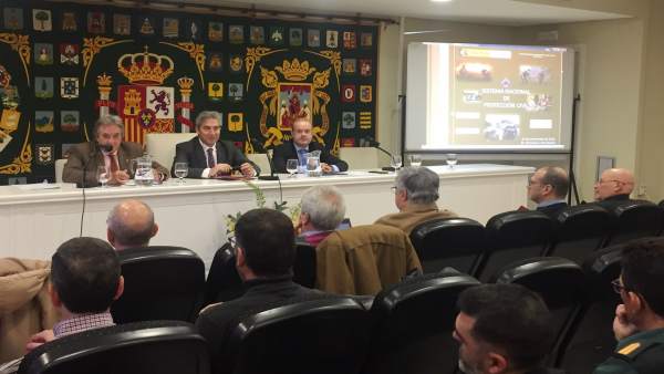 Jornadas sobre las actuaciones en emergencias Jornadas sobre las actuaciones en emergencias