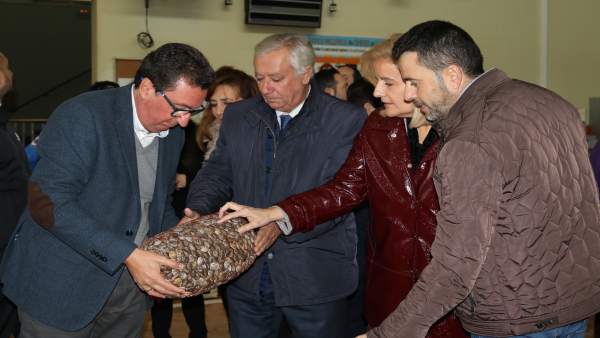 Representantes del PP visitan la lonja de Punta Umbría (Huelva). Representantes del PP visitan la lonja de Punta Umbría (Huelva).