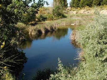 Lagunas de Horna, en Perales del Río (Getafe)