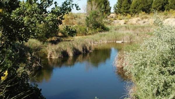 Lagunas de Horna, en Perales del Río (Getafe) Lagunas de Horna, en Perales del Río (Getafe)