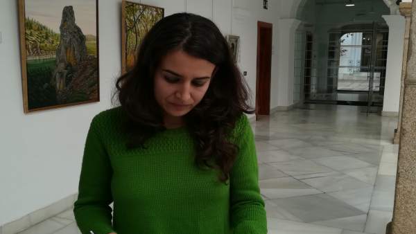 Irene de Miguel este miércoles en la Asamblea Irene de Miguel este miércoles en la Asamblea