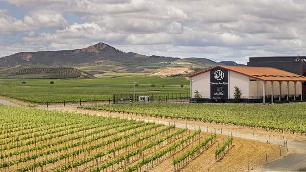Bodega Viñedos de Alfaro, del Grupo El Gaitero Bodega Viñedos de Alfaro, del Grupo El Gaitero