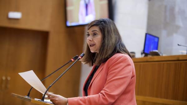 La portavoz de Cs, Susana Gaspar La portavoz de Cs, Susana Gaspar