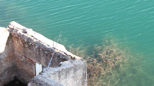 PESCA , CAÑA DE PESCAR PESCA , CAÑA DE PESCAR