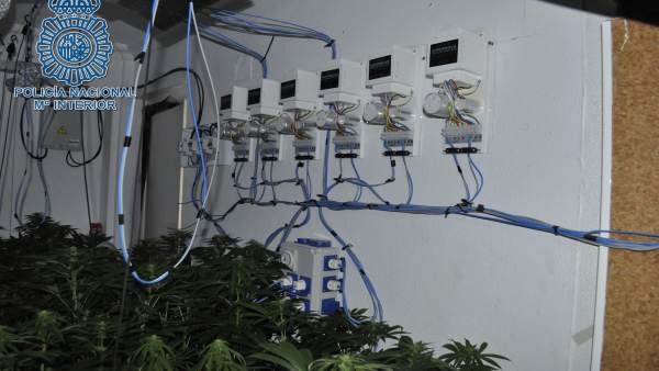 Desmantelado un punto de cultivo de marihuana en San Juan de Aznalfarache Desmantelado un punto de cultivo de marihuana en San Juan de Aznalfarache