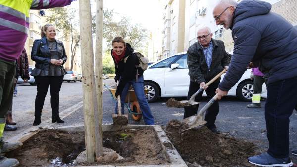 Plantación de árboles en la calle Mar Tirreno. Plantación de árboles en la calle Mar Tirreno.