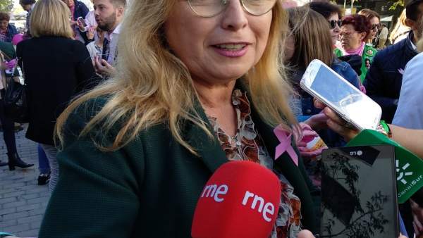 María Ángeles Luna en una comparecencia ante los medios María Ángeles Luna en una comparecencia ante los medios