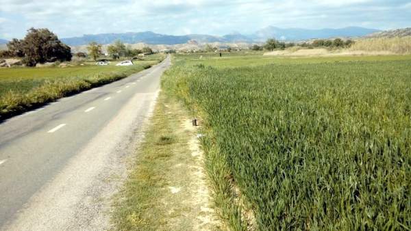 Carretera a Tierz y Bellestar Carretera a Tierz y Bellestar
