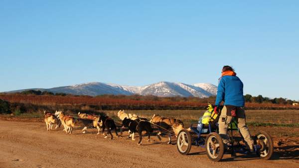 Travesía Con Perros De Tiro En El Moncayo, Mushing Travesía Con Perros De Tiro En El Moncayo, Mushing