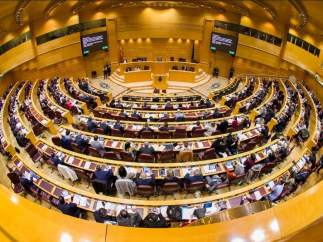 Senado
