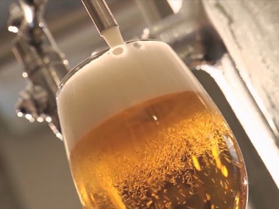 El viaje de la cerveza: del campo a la barra del bar