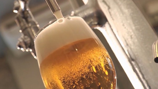 El viaje de la cerveza: del campo a la barra del bar El viaje de la cerveza: del campo a la barra del bar