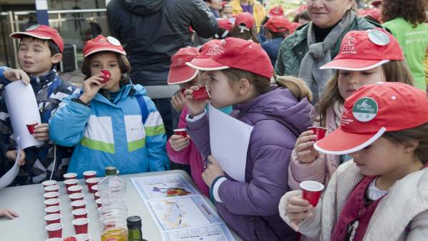 Escolares degustan aceite de oliva en el Parque de las Ciencias