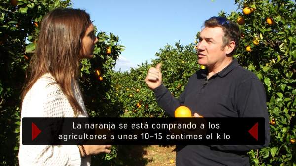 El zumo de naranja, en 'En el punto de mira'. El zumo de naranja, en 'En el punto de mira'.