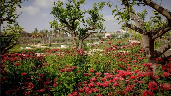 La primera part del Parc Central s'obri a la ciutadania dilluns que ve La primera part del Parc Central s'obri a la ciutadania dilluns que ve