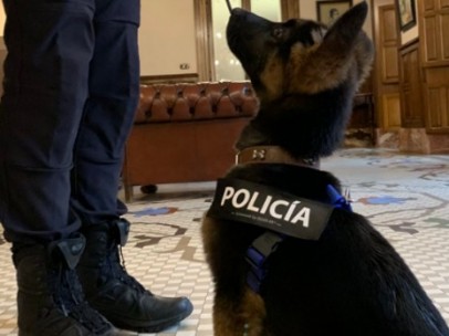 Stan Lee, el perro Policía