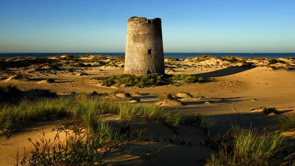Doñana Doñana