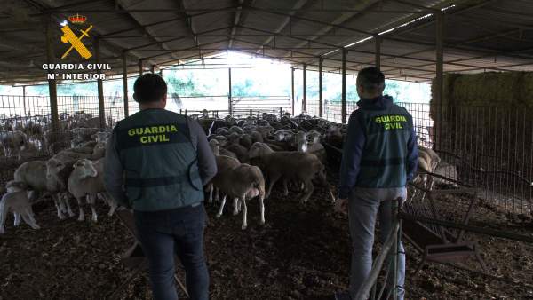La Guardia Civil investiga robos en el campo La Guardia Civil investiga robos en el campo