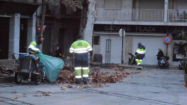 Operarios de Inagra retirando hojas de las plazas de Granada Operarios de Inagra retirando hojas de las plazas de Granada