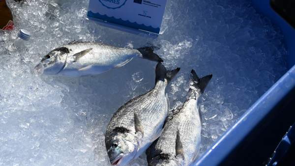 El sello 'Crianza de nuestros mares' El sello 'Crianza de nuestros mares'