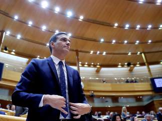 Pedro Sánchez