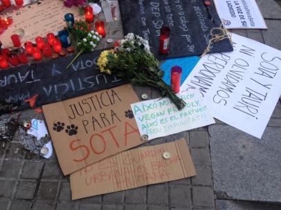 Homenaje a Sota