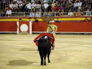 Toros
