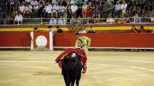 Toros Toros
