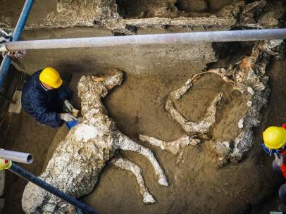 Caballo de Pompeya