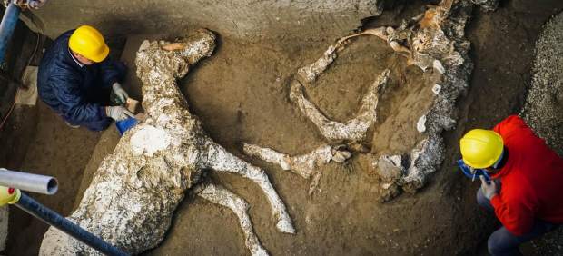 Caballo de Pompeya